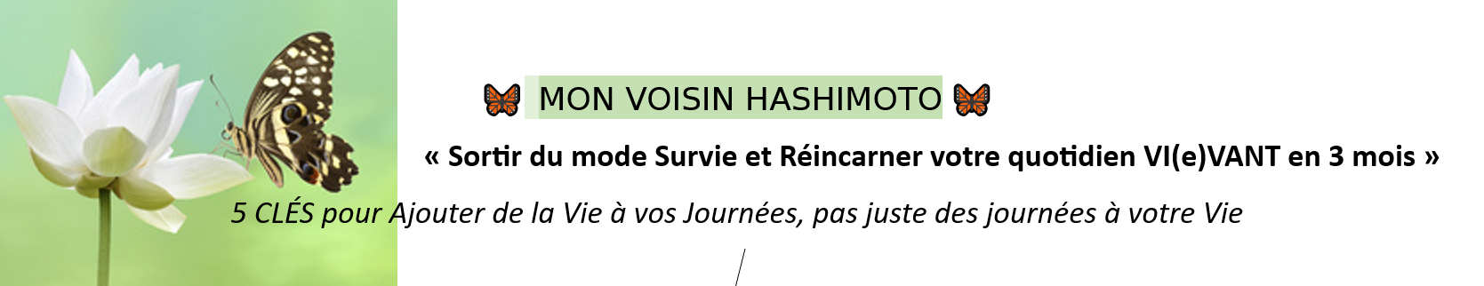 Mon voisin Hashimoto